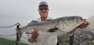 Got a Striped Bass while testing 13' prototype rod
